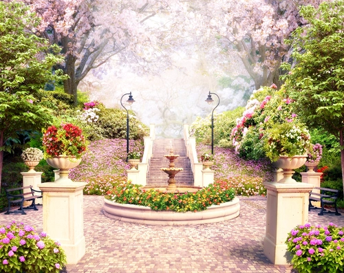 сакура, парк, сад, розовые, зеленые, белые, HD
